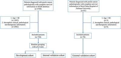 The Development and Validation of a Nomogram Incorporating Clinical, Pathological, and Therapeutic Features to Predict Overall Survival in Patients With Penile Cancer: A SEER-Based Study